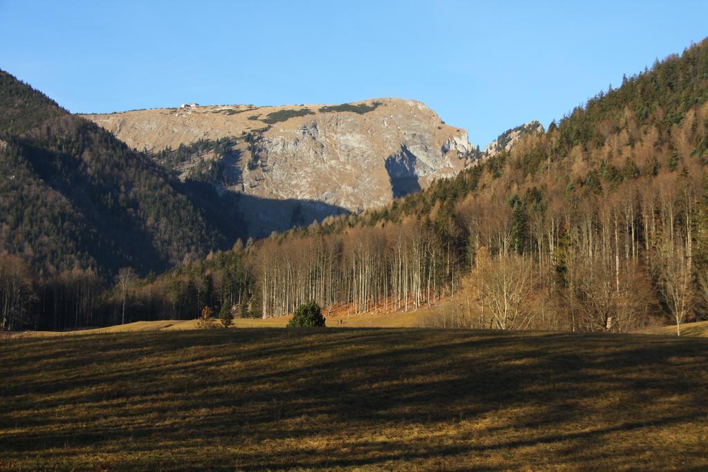 Haus Seeschwalbe Saint Wolfgang Eksteriør billede